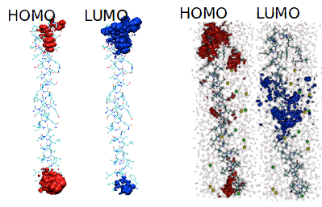 第一性原理分析肽亚单位的分子和电子结构.png